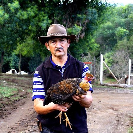 Nueva Imperial Cabanas Huilipan Gonzalez المظهر الخارجي الصورة